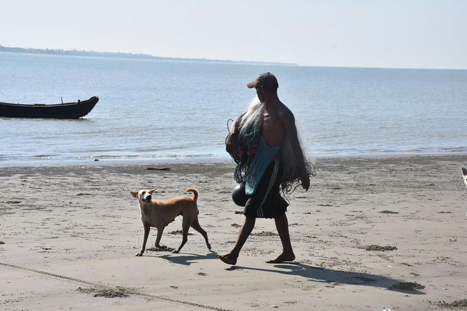 နာဂစ်မုန်တိုင်းဒဏ် အပြင်းအထန်ခံစားခဲ့ရသည့် လပွတ္တာမြို့နယ်အတွင်းရှိ လူနေမှုမြင်ကွင်းအချို့