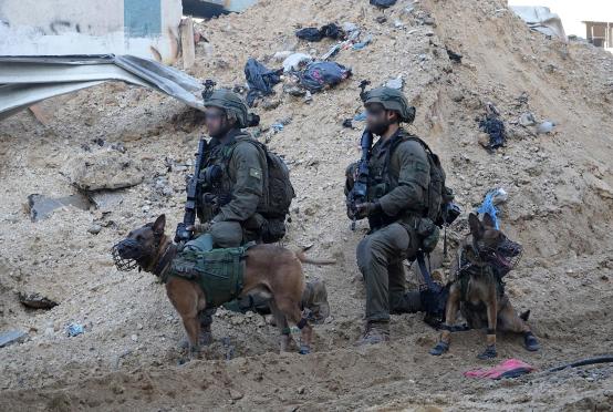 ဖေဖော်ဝါရီ ၂၆ ရက်က ဂါဇာကမ်းမြောင်ဒေသတွင် စစ်ဆင်ရေးပြုလုပ်နေသည့် အစ္စရေးစစ်သားများကို တွေ့ရစဉ်(Photo:AFP)