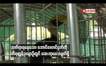 Embedded thumbnail for ဒဏ်ရာရနေသော အောင်လောင်ငှက်ကို တိရစ္ဆာန်ဥယျာဉ်တွင် ဆေးကုပေးလျက်ရှိ