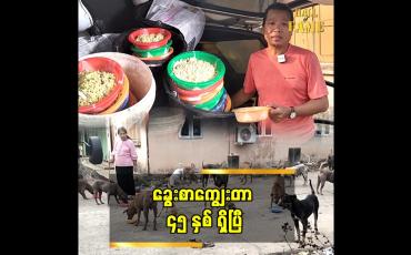 Embedded thumbnail for ခွေးစာကျွေးတာ ၄၅ နှစ် ရှိပြီ