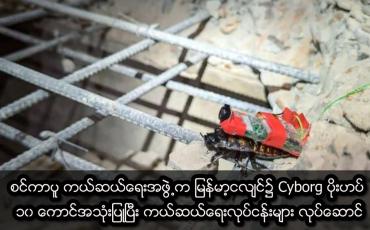 Embedded thumbnail for စင်ကာပူ ကယ်ဆယ်ရေးအဖွဲ့က မြန်မာ့ငလျင်၌ Cyborg ပိုးဟပ် ၁၀ ကောင်အသုံးပြု