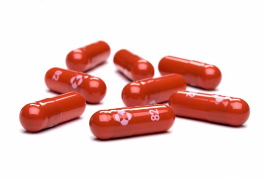 Merck ကုမ္ပဏီ၏ ကိုရိုနာဗိုင်းရပ်စ်ကုသဆေးဖြစ်သည့် molnupiravir ဆေးတောင့်များကို တွေ့ရစဉ် (Photo : AFP)