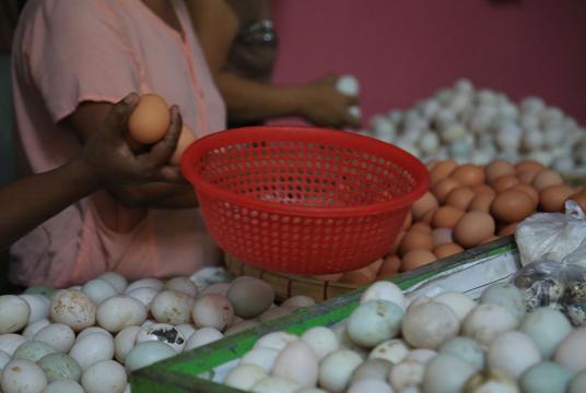 ရန်ကုန်မြို့ စျေးတန်းတစ်နေရာတွင် ကြက်ဥဘဲဥရောင်းချသောဆိုင်တစ်ဆိုင်ကို တွေ့ရစဉ် (ဓာတ်ပုံ- ကြည်နိုင်)