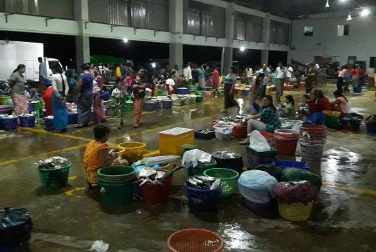 မြိတ်မြို့တွင်ရှိသည့် အပြည်ပြည်ဆိုင်ရာငါးစျေးလုပ်ငန်းခွင်တစ်နေရာကို တွေ့ရစဉ်