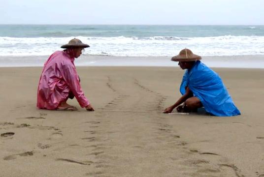 ကျိန္တလီကမ်းခြေဒေသ လိပ်ထိန်းသိမ်းရေးဇုန်တွင် ယခုနှစ်အတွက် ပထမဆုံးအကြိမ် လိပ်ဥချမှုနှင့် ပတ်သက်ပြီး မှတ်တမ်းတင်နေစဉ် (ဓာတ်ပုံ- ကိုသားကြီး)