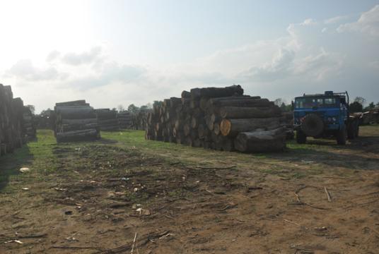 မိုင်ဂျာယန်ဒေသတွင် ဇူလိုင် ၂၈ ရက်က ကျင်းပသော တိုင်းရင်းသား လက်နက်ကိုင်အဖွဲ့များ မျက်နှာစုံညီ အစည်းအဝေး တတိယနေ့ကို တွေ့ရစဉ်