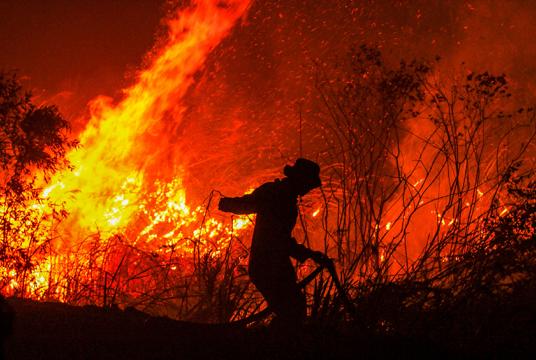   စက်တင်ဘာ ၁၁ ရက်တွင် တောင်ဆူမတ်တြားပြည်နယ်၏ ရမ်ဘူတန်ကျေးရွာ၌ တောမီးလောင်မှုကို မီးသတ်သမားတစ်ဦးက ငြှိမ်းသတ်နေစဉ်