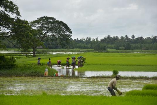 မိရိုးဖလာ လယ်ယာလုပ်ငန်းကိုသာ လုပ်ကိုင်စားသောက်နေသော တောင်သူများအား တွေ့ရစဉ်