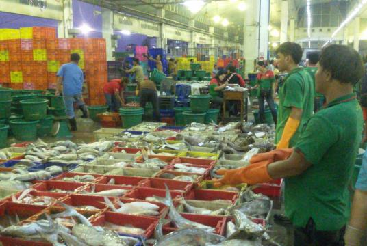 မြန်မာ့ငါးများဖြင့် အဓိကလည်ပတ်နေသည့် ထိုင်းငါးဈေးကွက်တစ်ခုကို တွေ့ရစဉ်