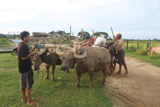 မဲဇာမြစ်ရိုးမှ တောင်သူများ လယ်ယာလုပ်ငန်းခွင်သွားရောက်ရန် ပြင်ဆင်နေစဉ်