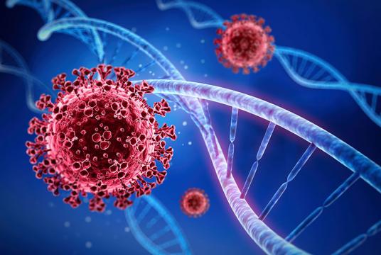 Photo:Livescience.com