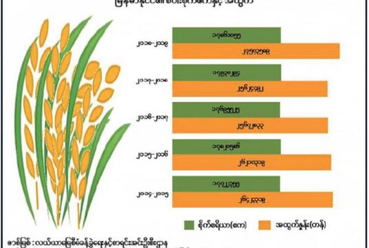မြန်မာနိုင်ငံ၏ စပါးစိုက်ဧကနှင့် အထွက်နှုန်းကို ဖော်ပြထားစဉ်