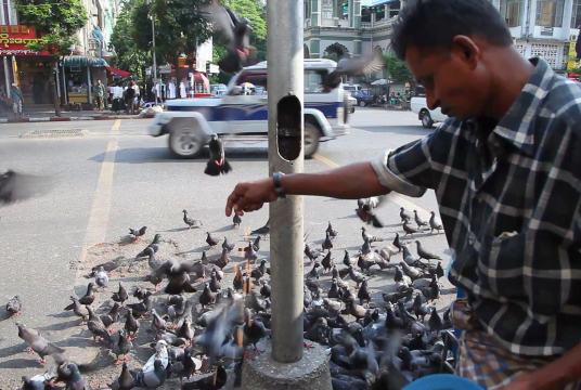 Photo : VideoBlocks