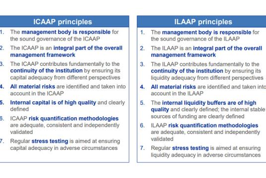  ICAAP နှင့် ILAAP  အခြေခံမူ (၇) ချက်