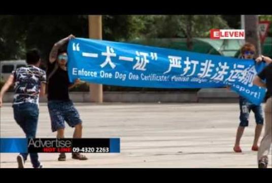 Embedded thumbnail for တရုတ်တွင် ကျင်းပသည့် ခွေးသားစားပွဲတော်ကို ဆန္ဒပြသူများ အတင်းအဓမ္မ လူစုခွဲခံရ