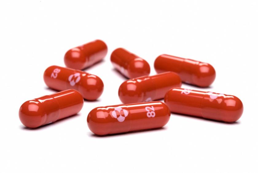 Merck ကုမ္ပဏီ၏ ကိုရိုနာဗိုင်းရပ်စ်ကုသဆေးဖြစ်သည့် molnupiravir ဆေးတောင့်များကို တွေ့ရစဉ် (Photo : AFP)