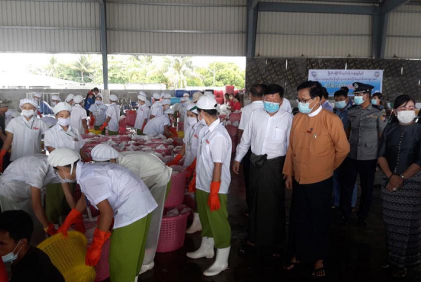 လှူဒါန်းမည့် ငါးများကို တာဝန်ရှိသူများ လာရောက်ကြည့်ရှုစဉ်