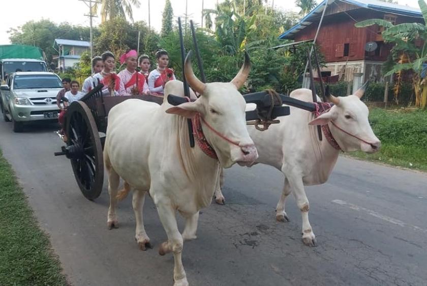 မွန်ရိုးရာလှည်းယာဉ်တစ်စီးကို တွေ့ရစဉ်