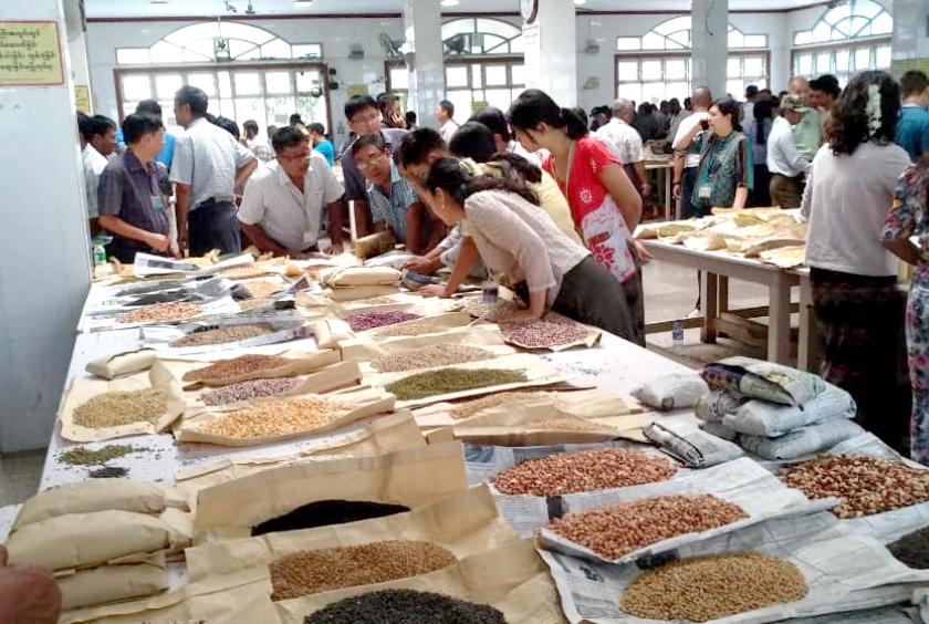 မန္တလေးကုန်စည်ဒိုင်တွင် ပဲအရောင်းအဝယ်ပြုလုပ်နေစဉ်