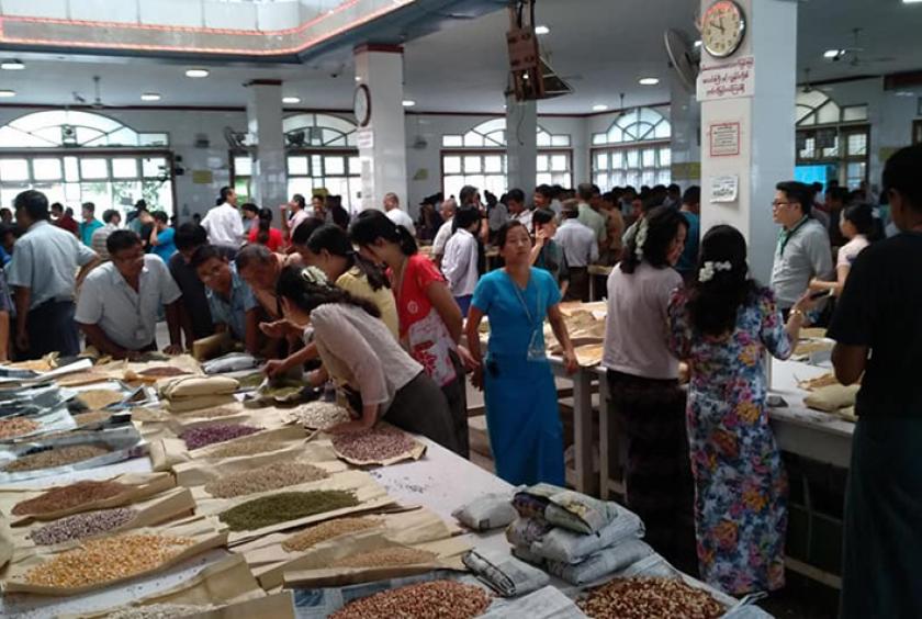 မန္တလေးကုန်စည်ဒိုင် ပဲစျေးကွက်တွင် ရောင်းချရန် ပြသထားသော ပဲနမူနာများကို တွေ့ရစဉ်