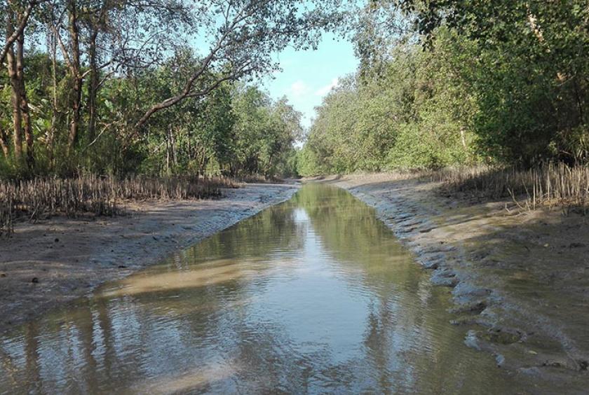 လမ်းသမိုင်ချောင်းကလေးကို တွေ့ရစဉ်