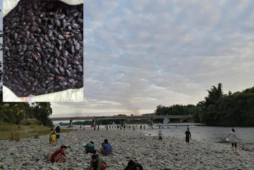 မေခမြစ်ကမ်း မူလာရှီဒီးနံတားအောက်တွင် ကျောက်ဂျပိုးရှာသူများအား နိုဝင်ဘာနောက်ဆုံးအပတ်က တွေ့ရစဉ် (ဓာတ်ပုံ - ကိုတွတ်၊ ခရီးသွားပို့ဆောင်ရေး)