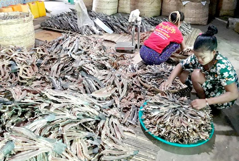 ပဲခူးတိုင်းဒေသကြီး အတွင်းရှိ ငါးရံ့ခြောက် လုပ်ငန်းခွင် တစ်နေရာ