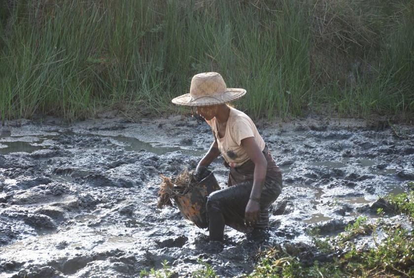 နာဂစ်မုန်တိုင်းဒဏ် အပြင်းအထန်ခံစားခဲ့ရသည့် လပွတ္တာမြို့နယ်အတွင်းရှိ လူနေမှုမြင်ကွင်းအချို့