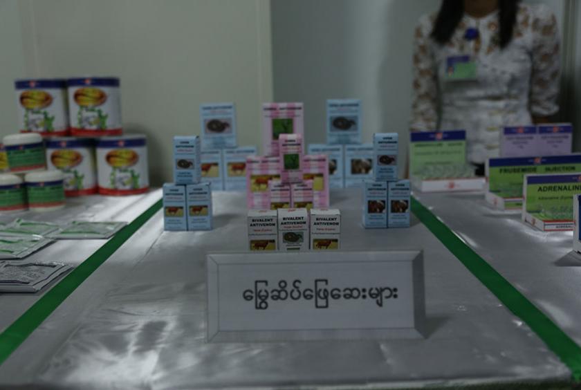 BPI က ထုတ်လုပ်သော မြွေဆိပ်ဖြေဆေးများကို တွေ့ရစဉ် (ဓာတ်ပုံ-အိသဥ္ဇာကျော်)