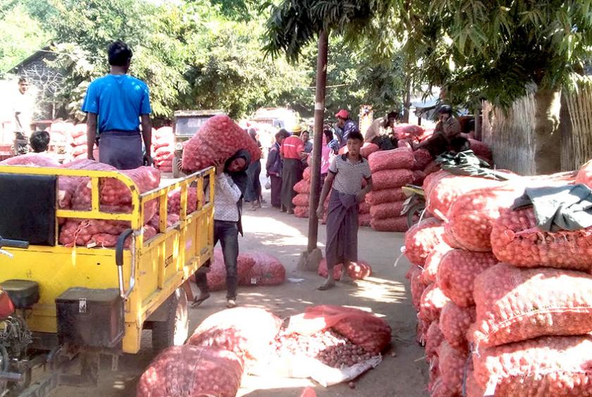 ပခုက္ကူကြက်သွန်စျေးကွက် မိုးကြက်သွန်တန်းတွင် ရောင်းဝယ်နေစဉ်