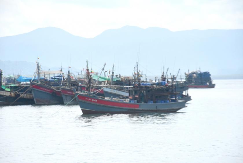 ကော့သောင်းဆိပ်ကမ်းတွင် ရပ်နားထားသော ငါးသယ်လှေများနှင့် ငါးဖမ်းလှေများကို တွေ့ရစဉ်
