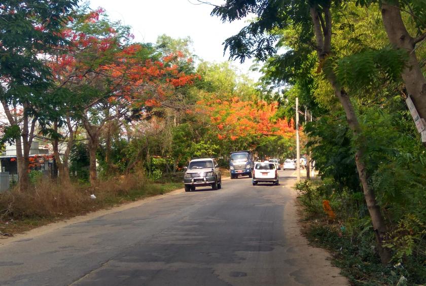 ဓာတ်ပုံ-ဇော်ဇော်အောင်