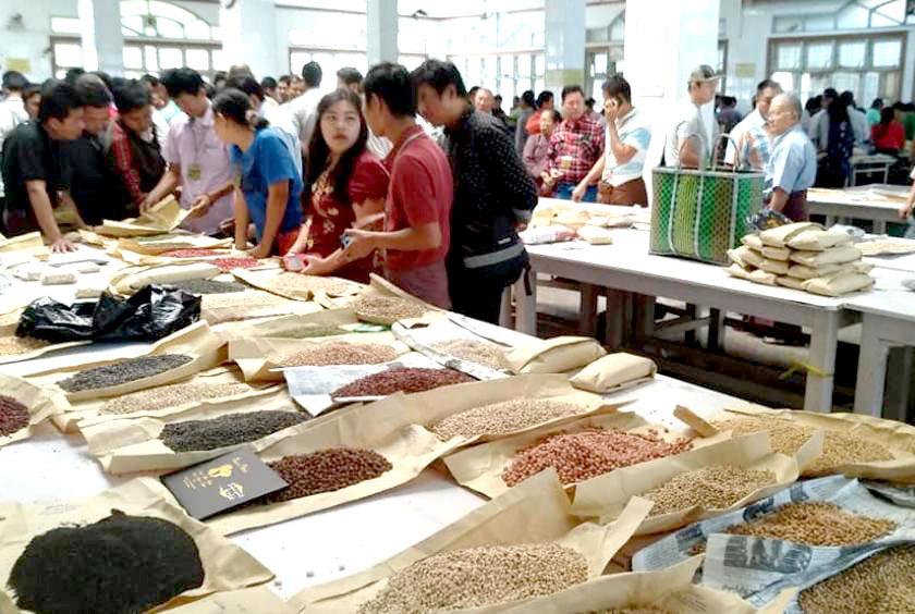 မန္တလေးပဲစျေးကွက်အတွင်း ဝယ်ရောင်းပြုလုပ်နေမှုကို တွေ့ရစဉ်