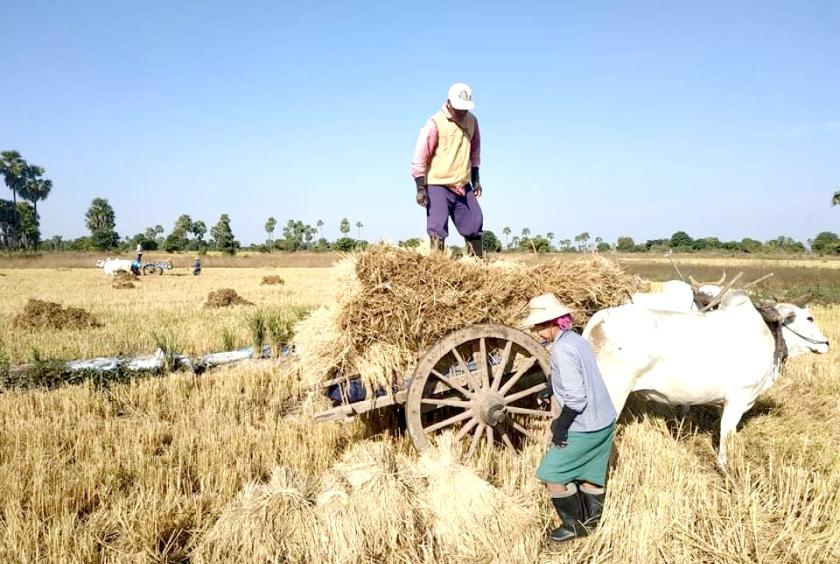 တောင်သူများ၏ လယ်ယာလုပ်ငန်းခွင်တစ်ခုကို တွေ့ရစဉ်