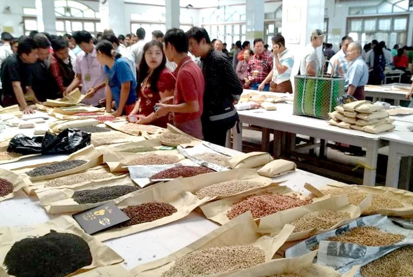 မန္တလေးပဲစျေးကွက်အတွင်း ဝယ်ရောင်းပြုလုပ်နေသူများကို တွေ့ရစဉ်