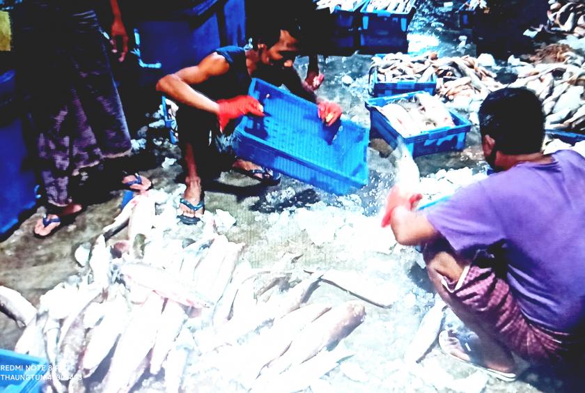 ကျိုက်ထိုငါးဒိုင်များတွင် ၁၅ ရက်တစ်ရေ ရေလုပ်သားအများအပြား ငါးလာရောက်သွင်းနေစဉ်