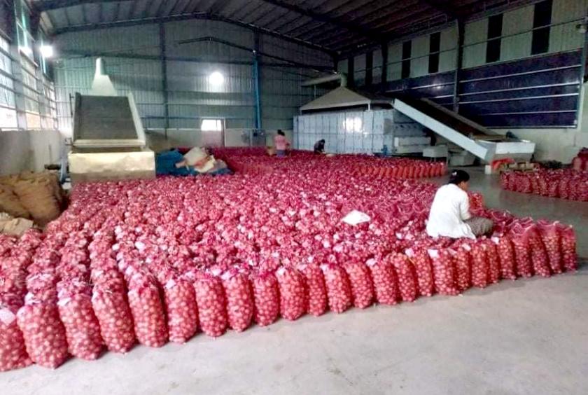 မန္တလေးတိုင်းဒေသကြီးအတွင်းရှိ ကြက်သွန်နီလုပ်ငန်းခွင်တစ်ခုကို တွေ့ရစဉ်