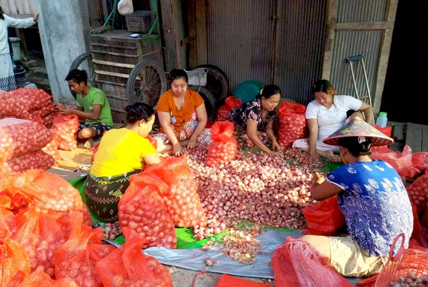 မြဝတီမြို့ရှိ ကြက်သွန်နီ ရောင်းဝယ်ရေး လုပ်ငန်းခွင် တစ်ခုကို တွေ့ရစဉ်