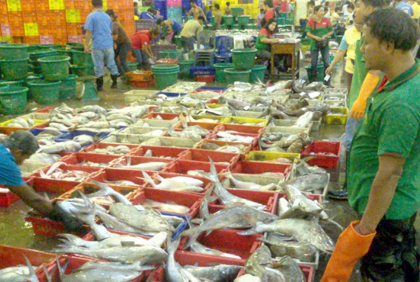 ထိုင်းနိုင်ငံရှိ မဟာချိုင်ငါးစျေးကို တွေ့ရစဉ်